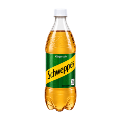 Ginger Ale (500ml)